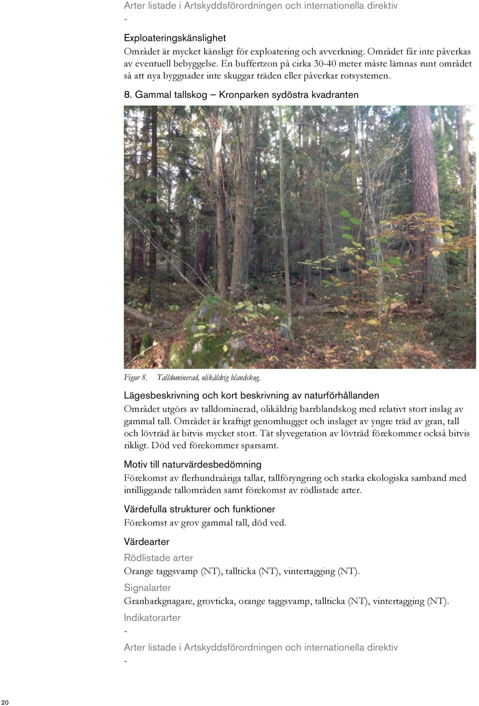 Talldominerad, olikåldrig blandskog. Området utgörs av talldominerad, olikåldrig barrblandskog med relativt stort inslag av gammal tall.
