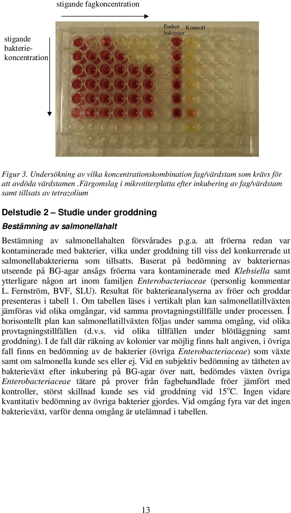 p.g.a. att fröerna redan var kontaminerade med bakterier, vilka under groddning till viss del konkurrerade ut salmonellabakterierna som tillsatts.