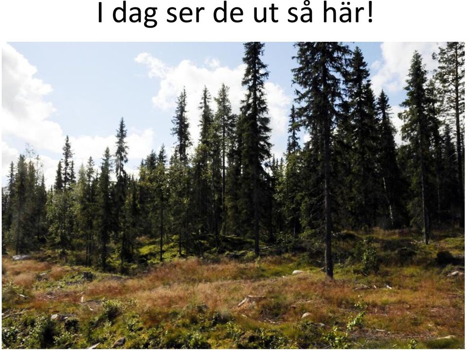 här!