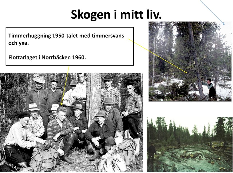 med timmersvans och yxa.