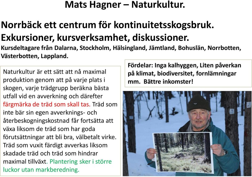 Naturkultur är ett sätt att nå maximal produktion genom att på varje plats i skogen, varje trädgrupp beräkna bästa utfall vid en avverkning och därefter färgmärka de träd som skall tas.
