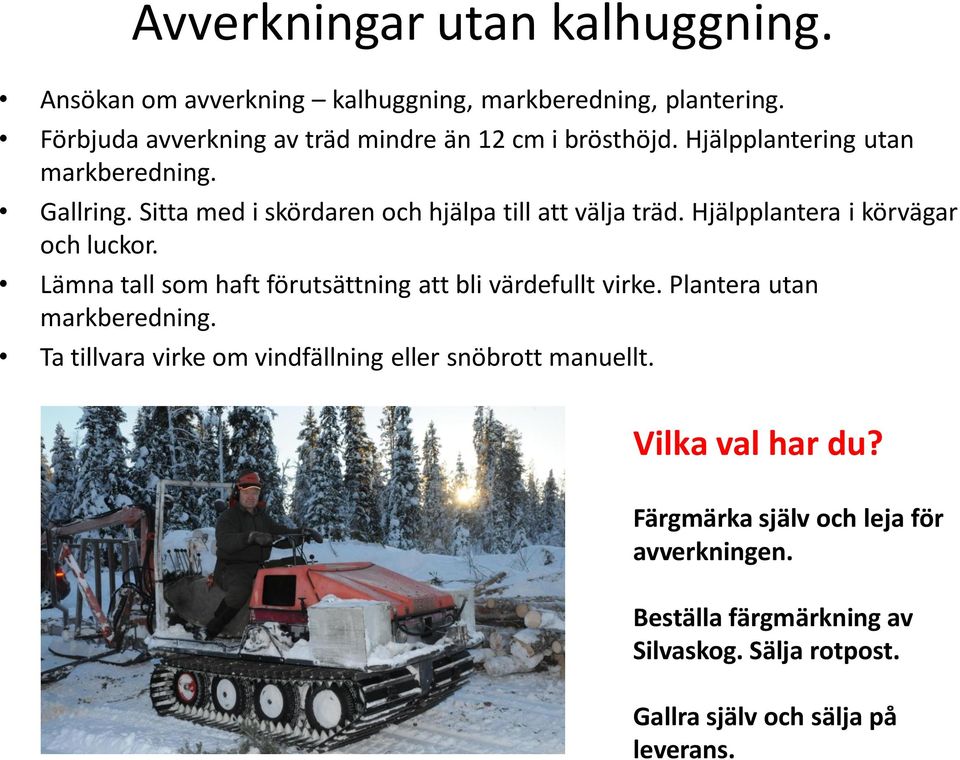 Sitta med i skördaren och hjälpa till att välja träd. Hjälpplantera i körvägar och luckor.