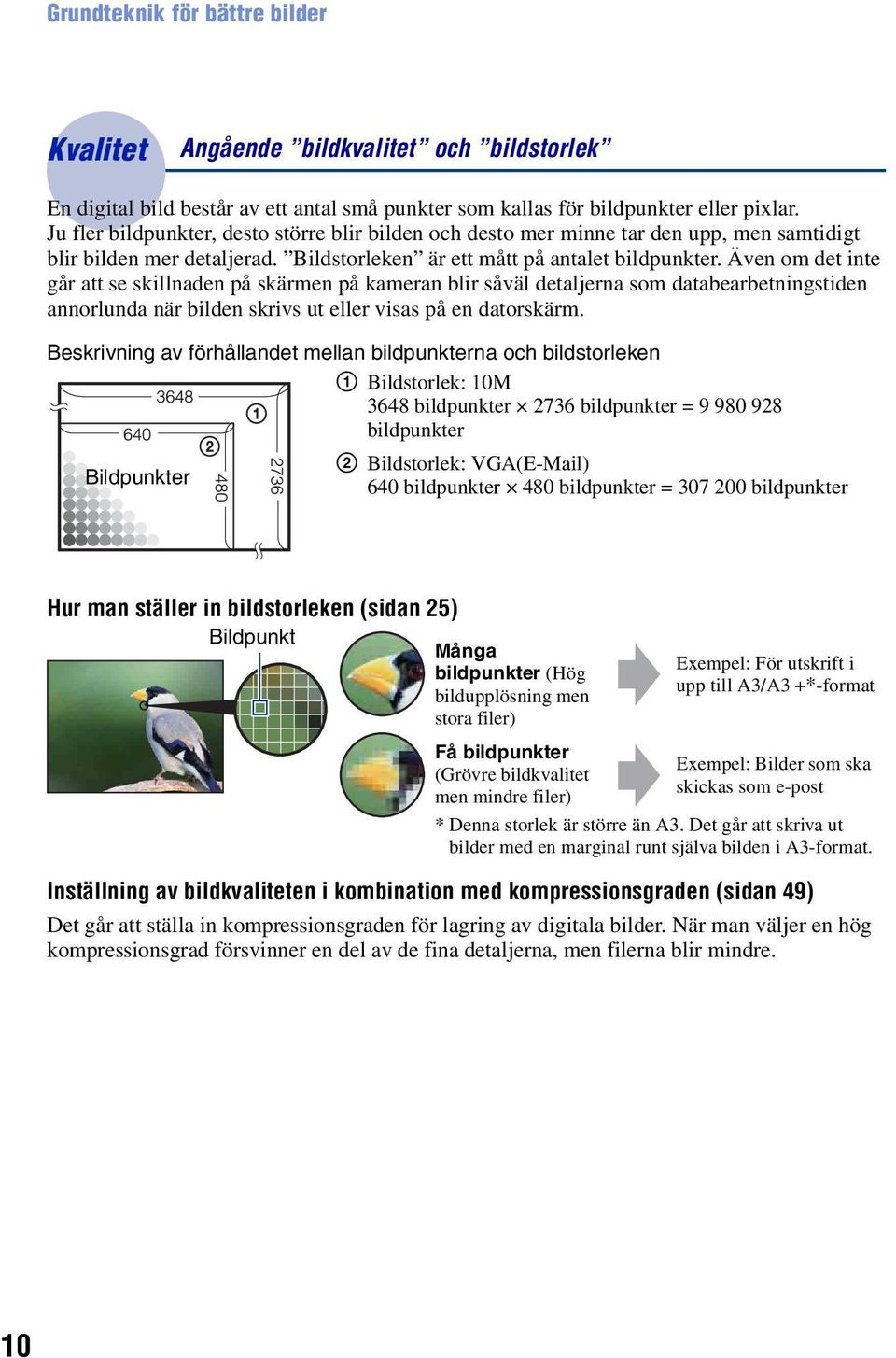 Även om det inte går att se skillnaden på skärmen på kameran blir såväl detaljerna som databearbetningstiden annorlunda när bilden skrivs ut eller visas på en datorskärm.