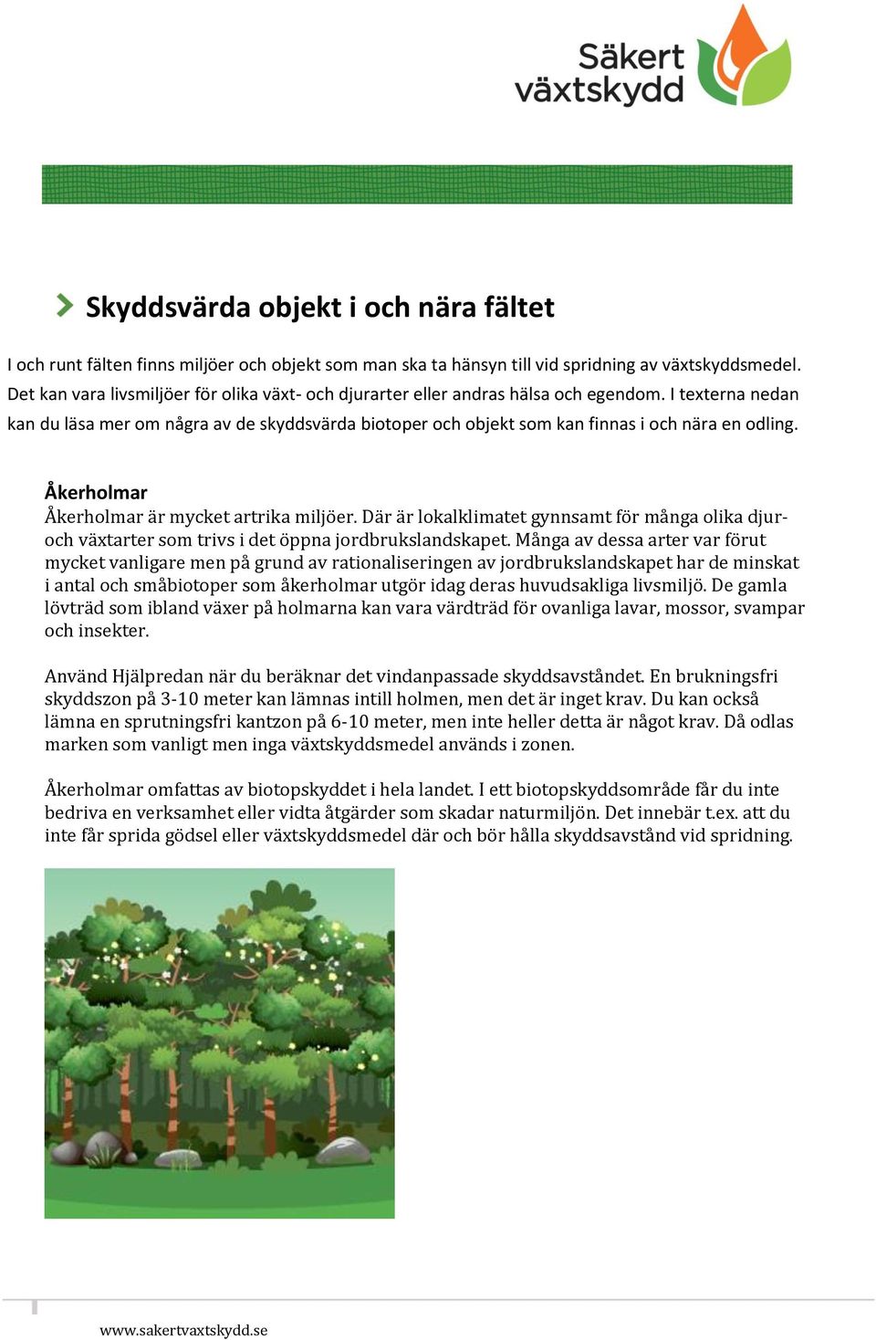 I texterna nedan kan du läsa mer om några av de skyddsvärda biotoper och objekt som kan finnas i och nära en odling. Åkerholmar Åkerholmar är mycket artrika miljöer.