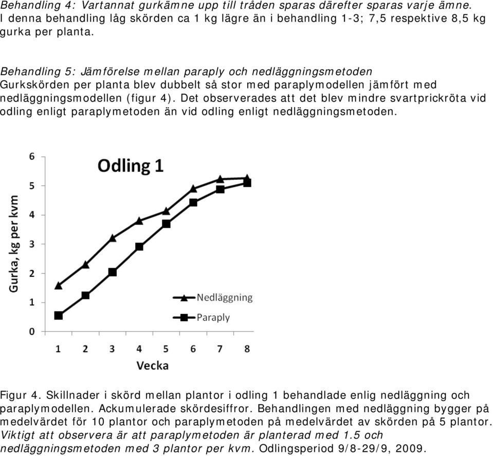 Det observerades att det blev mindre svartprickröta vid odling enligt paraplymetoden än vid odling enligt nedläggningsmetoden. Figur 4.