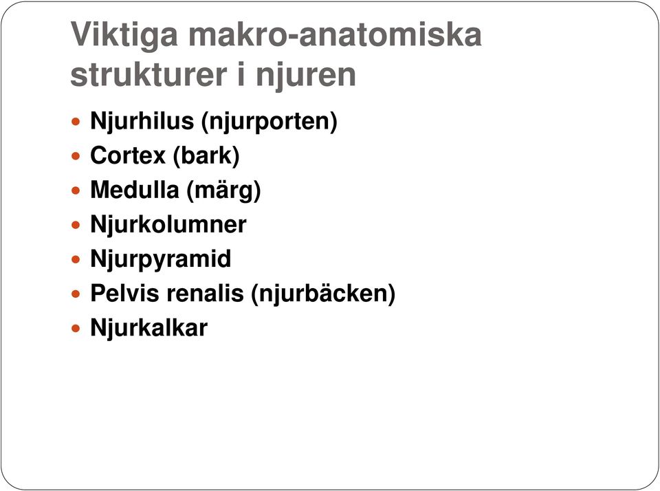 (bark) Medulla (märg) Njurkolumner