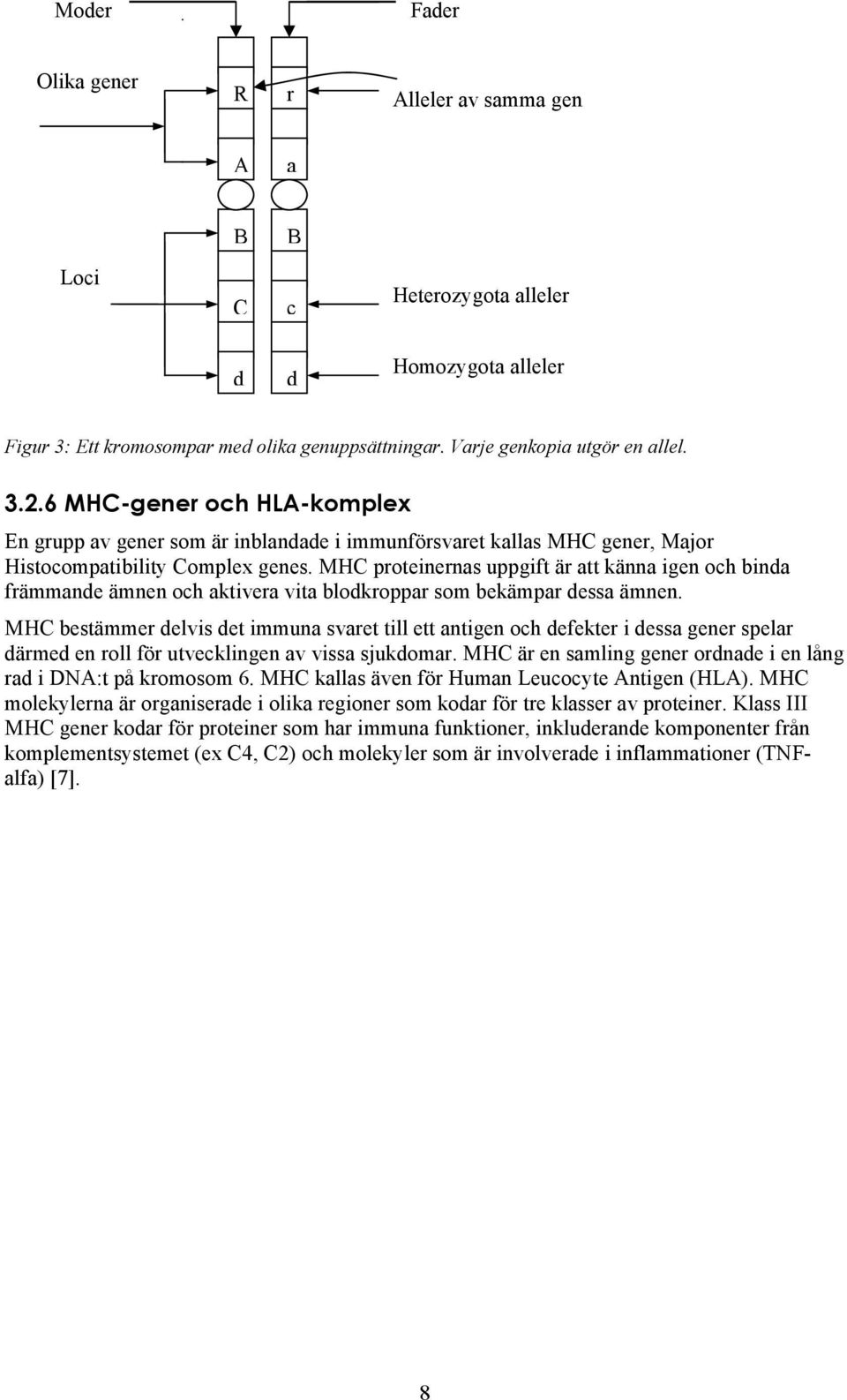 MHC proteinernas uppgift är att känna igen och binda främmande ämnen och aktivera vita blodkroppar som bekämpar dessa ämnen.