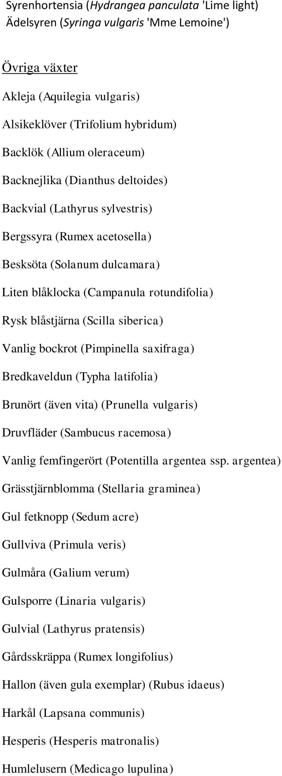 Vanlig bockrot (Pimpinella saxifraga) Bredkaveldun (Typha latifolia) Brunört (även vita) (Prunella vulgaris) Druvfläder (Sambucus racemosa) Vanlig femfingerört (Potentilla argentea ssp.