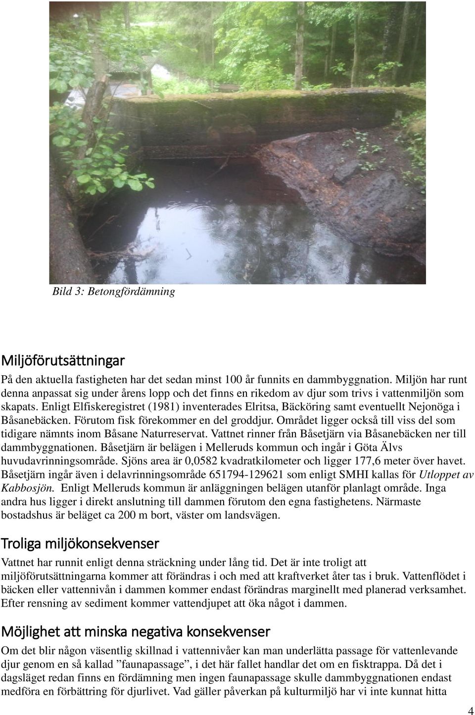 Enligt Elfiskeregistret (1981) inventerades Elritsa, Bäcköring samt eventuellt Nejonöga i Båsanebäcken. Förutom fisk förekommer en del groddjur.