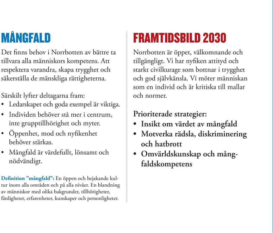 Mångfald är värdefullt, lönsamt och nödvändigt. FRAMTIDSBILD 2030 Norrbotten är öppet, välkomnande och tillgängligt.