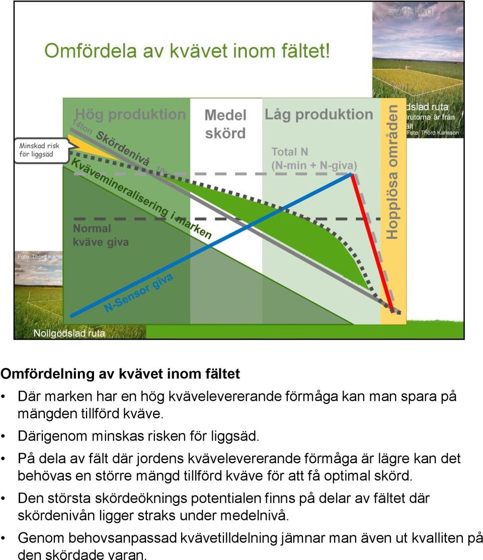 På dela av fält där jordens kvävelevererande förmåga är lägre kan det behövas en större mängd tillförd kväve för att få