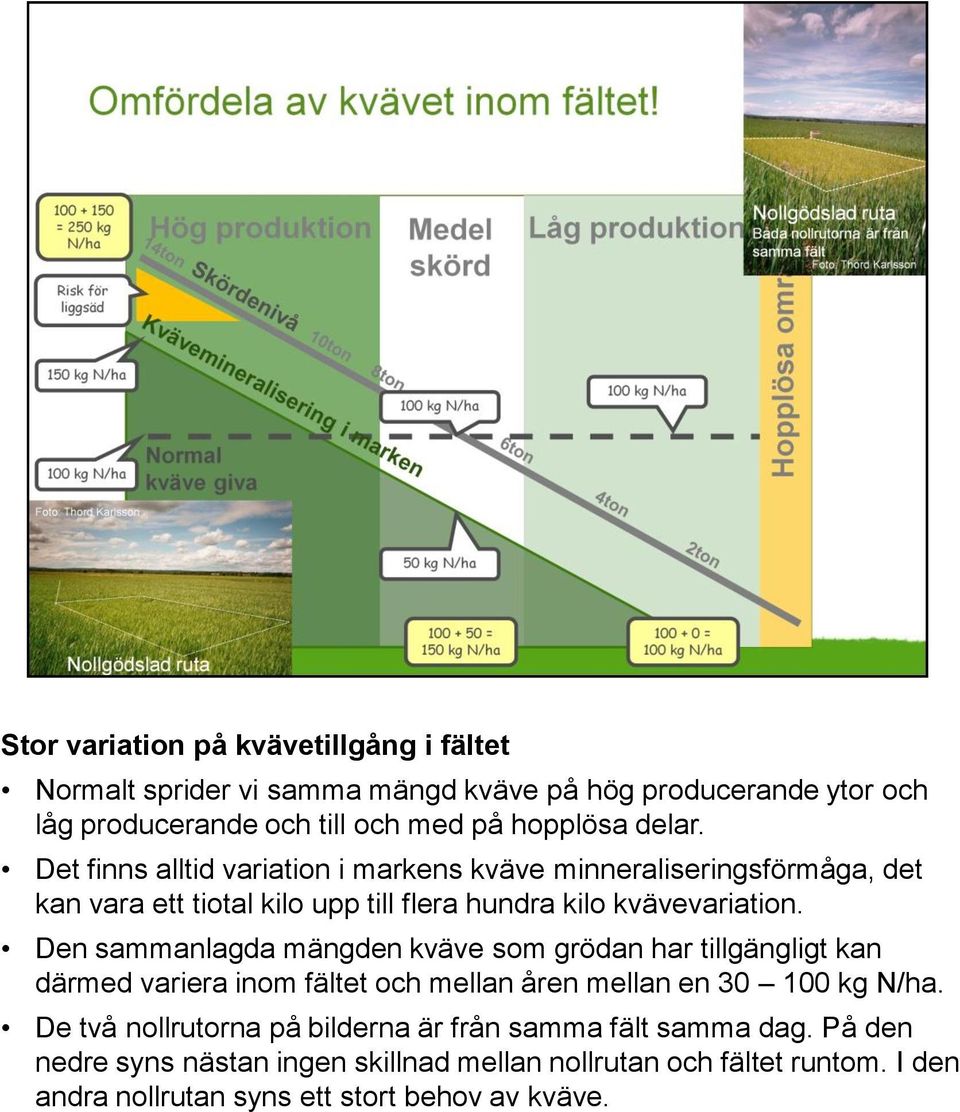 Den sammanlagda mängden kväve som grödan har tillgängligt kan därmed variera inom fältet och mellan åren mellan en 30 100 kg N/ha.