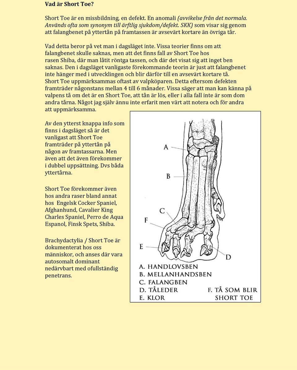Vissa teorier finns om att falangbenet skulle saknas, men att det finns fall av Short Toe hos rasen Shiba, där man låtit röntga tassen, och där det visat sig att inget ben saknas.