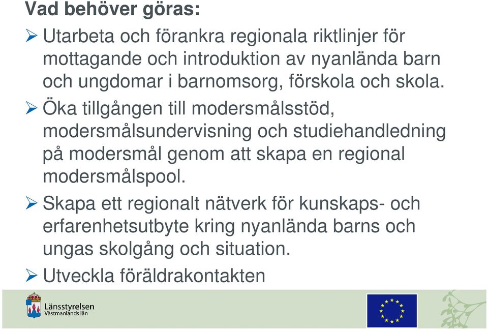 Öka tillgången till modersmålsstöd, modersmålsundervisning och studiehandledning på modersmål genom att skapa