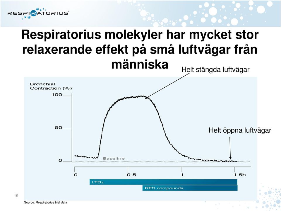 människa Helt stängda luftvägar Helt öppna