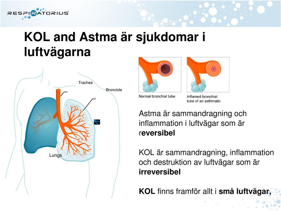 Lungs KOL är sammandragning, inflammation och destruktion av