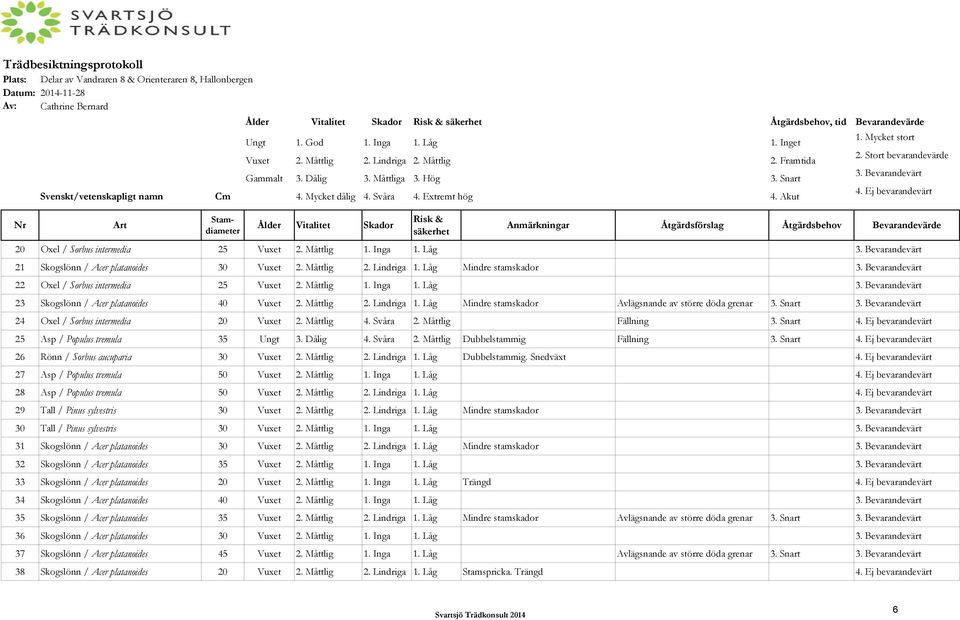 Svåra 4. Extremt hög 4. Akut Art Stamdiameter Ålder Vitalitet Skador Risk & säkerhet Anmärkningar Åtgärdsförslag Åtgärdsbehov Bevarandevärde 20 Oxel / Sorbus intermedia 25 Vuxet 2. Måttlig 1. Inga 1.