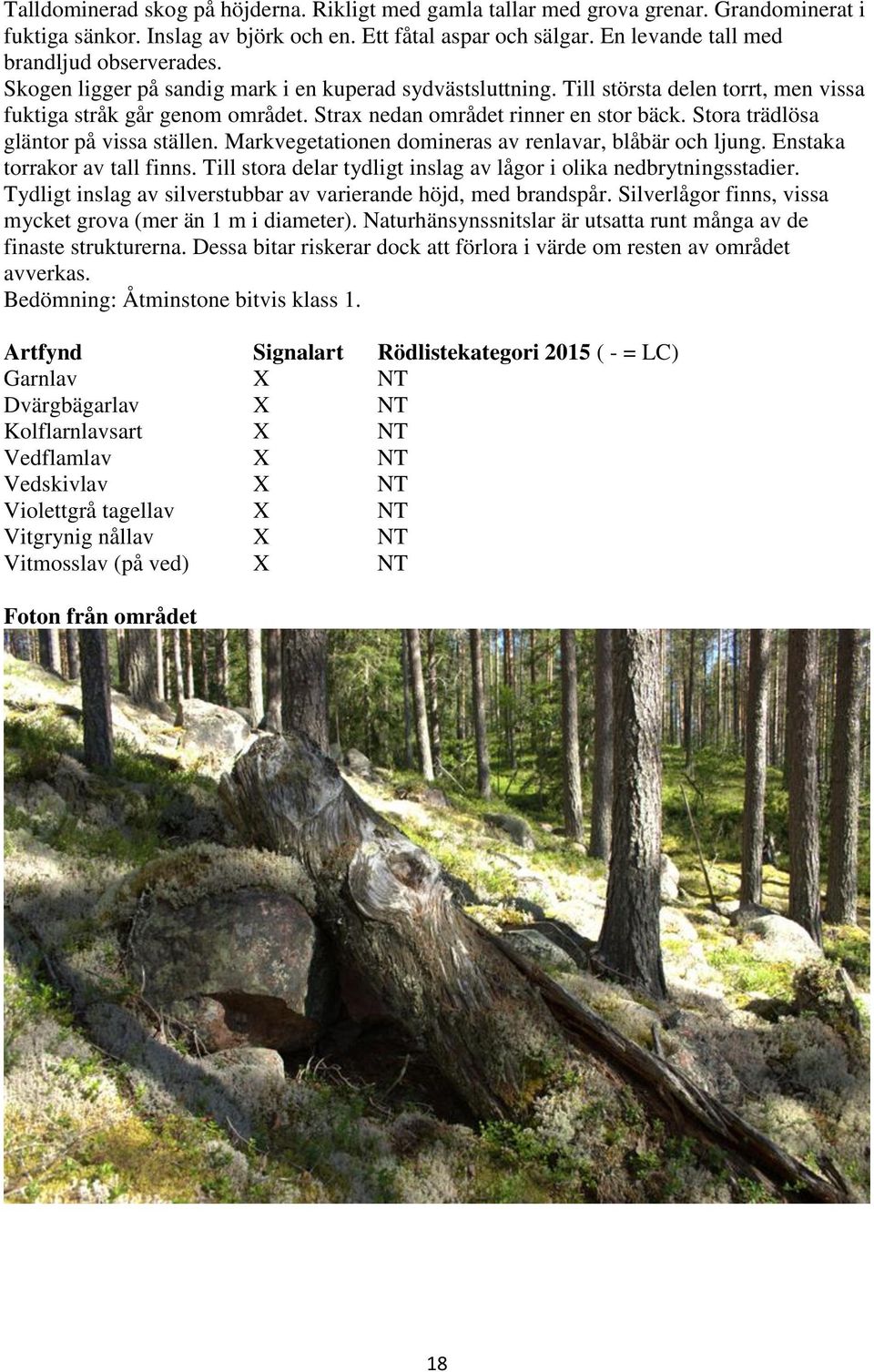 Strax nedan området rinner en stor bäck. Stora trädlösa gläntor på vissa ställen. Markvegetationen domineras av renlavar, blåbär och ljung. Enstaka torrakor av tall finns.