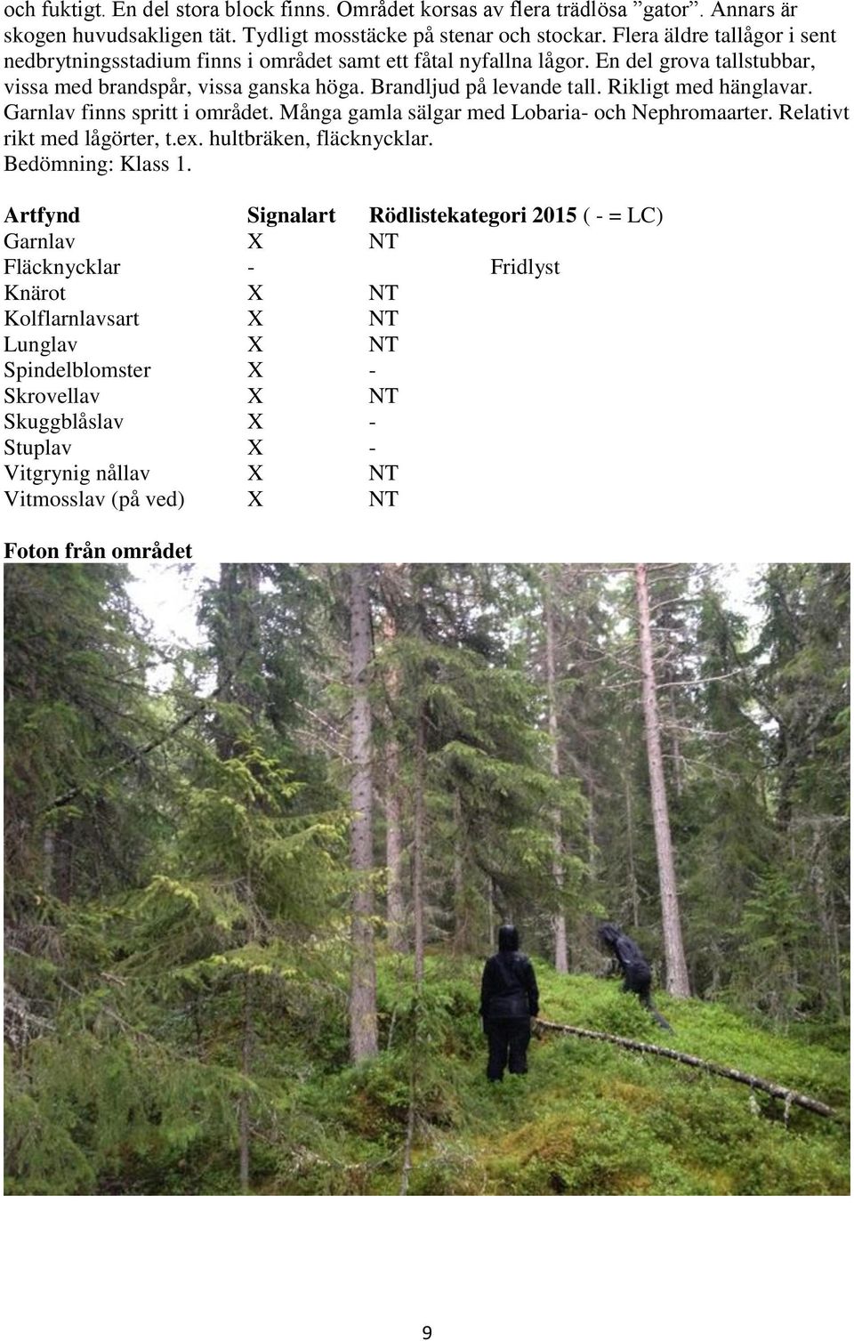 Rikligt med hänglavar. Garnlav finns spritt i området. Många gamla sälgar med Lobaria- och Nephromaarter. Relativt rikt med lågörter, t.ex. hultbräken, fläcknycklar. Bedömning: Klass 1.