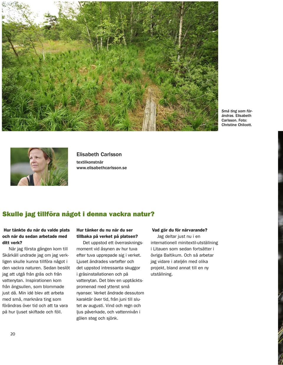 Sedan beslöt jag att utgå från gräs och från vattenytan. Inspirationen kom från ängsullen, som blommade just då.