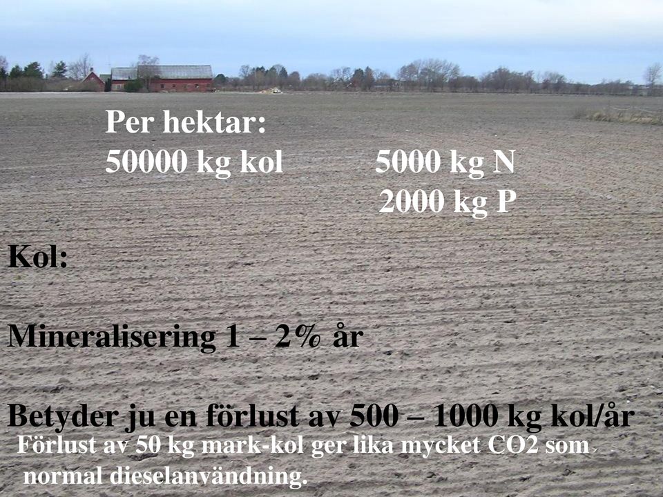 förlust av 500 1000 kg kol/år Förlust av 50 kg