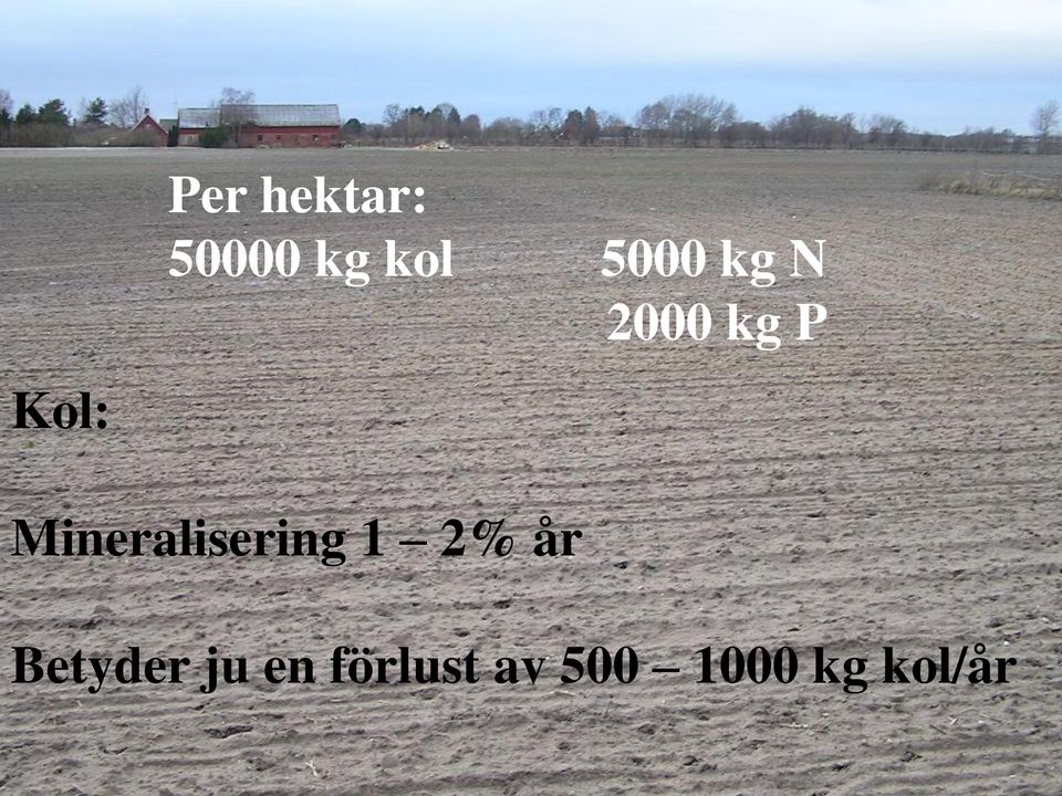 Mineralisering 1 2% år