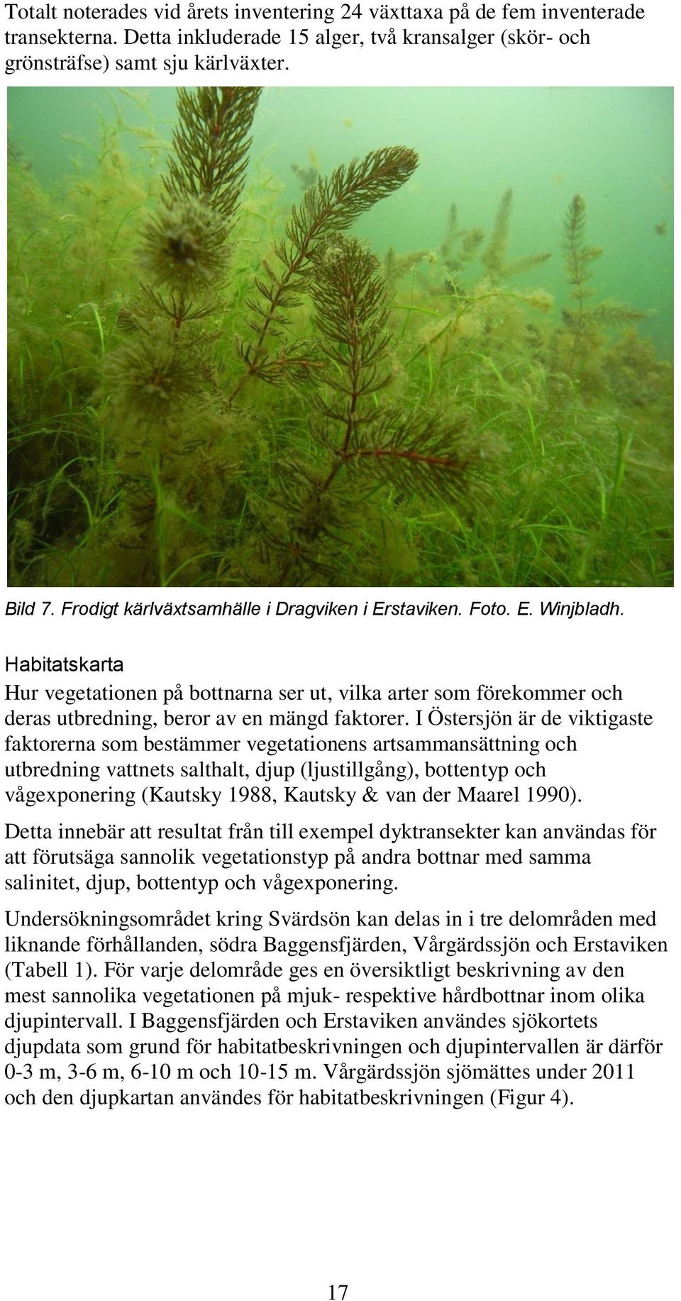 I Östersjön är de viktigaste faktorerna som bestämmer vegetationens artsammansättning och utbredning vattnets salthalt, djup (ljustillgång), bottentyp och vågexponering (Kautsky 1988, Kautsky & van