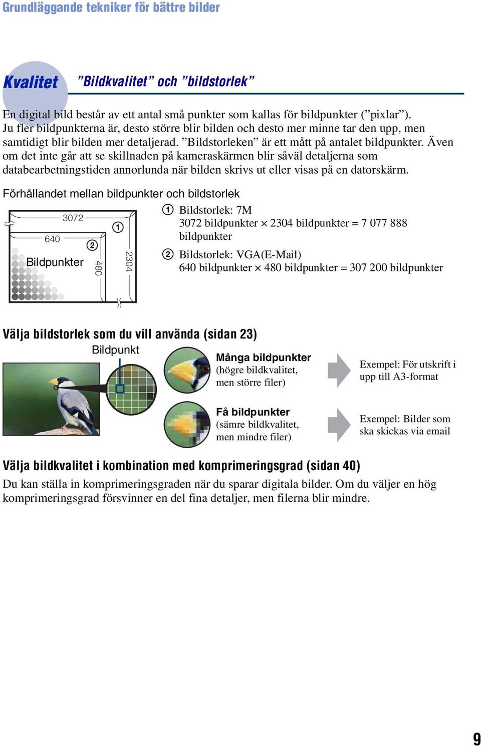 Även om det inte går att se skillnaden på kameraskärmen blir såväl detaljerna som databearbetningstiden annorlunda när bilden skrivs ut eller visas på en datorskärm.