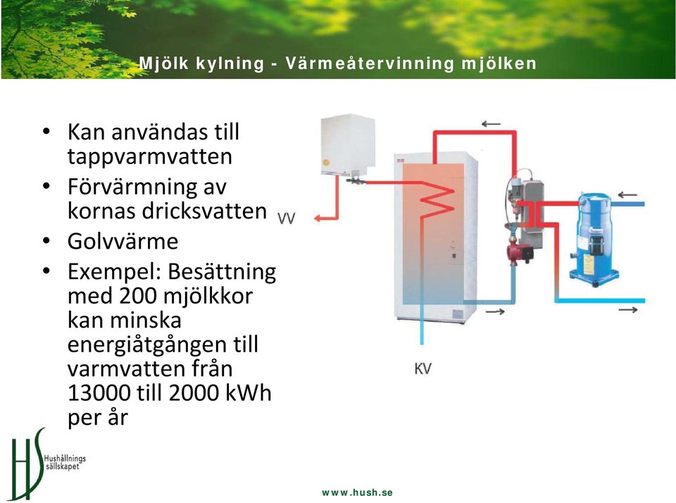 Golvvärme Exempel: Besättning med 200 mjölkkor kan minska