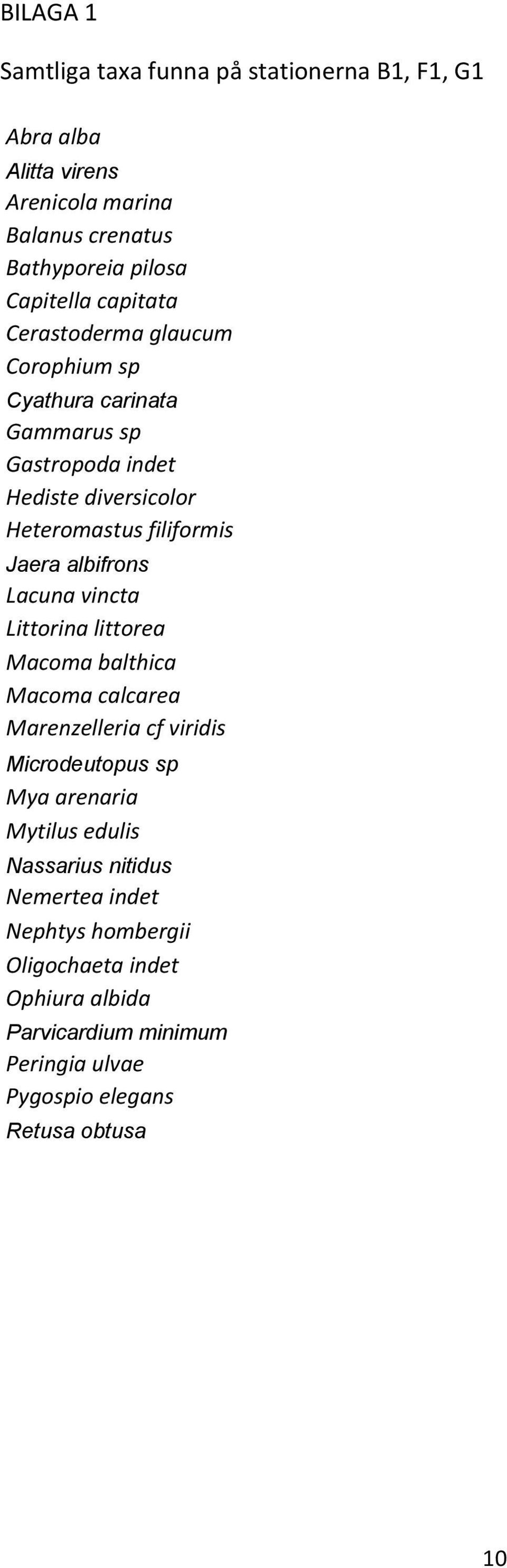 albifrons Lacuna vincta Littorina littorea Macoma balthica Macoma calcarea Marenzelleria cf viridis Microdeutopus sp Mya arenaria Mytilus edulis