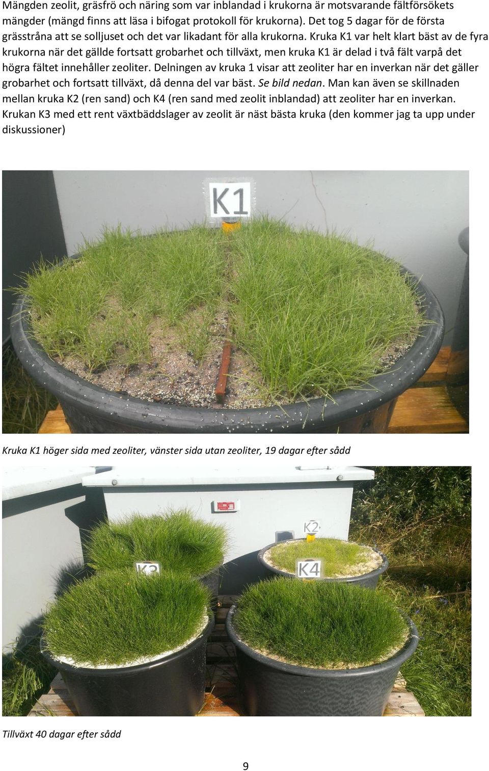 Kruka K1 var helt klart bäst av de fyra krukorna när det gällde fortsatt grobarhet och tillväxt, men kruka K1 är delad i två fält varpå det högra fältet innehåller zeoliter.
