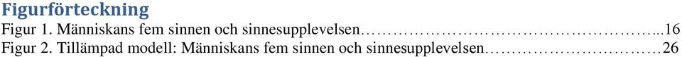 sinnesupplevelsen...16 Figur 2.