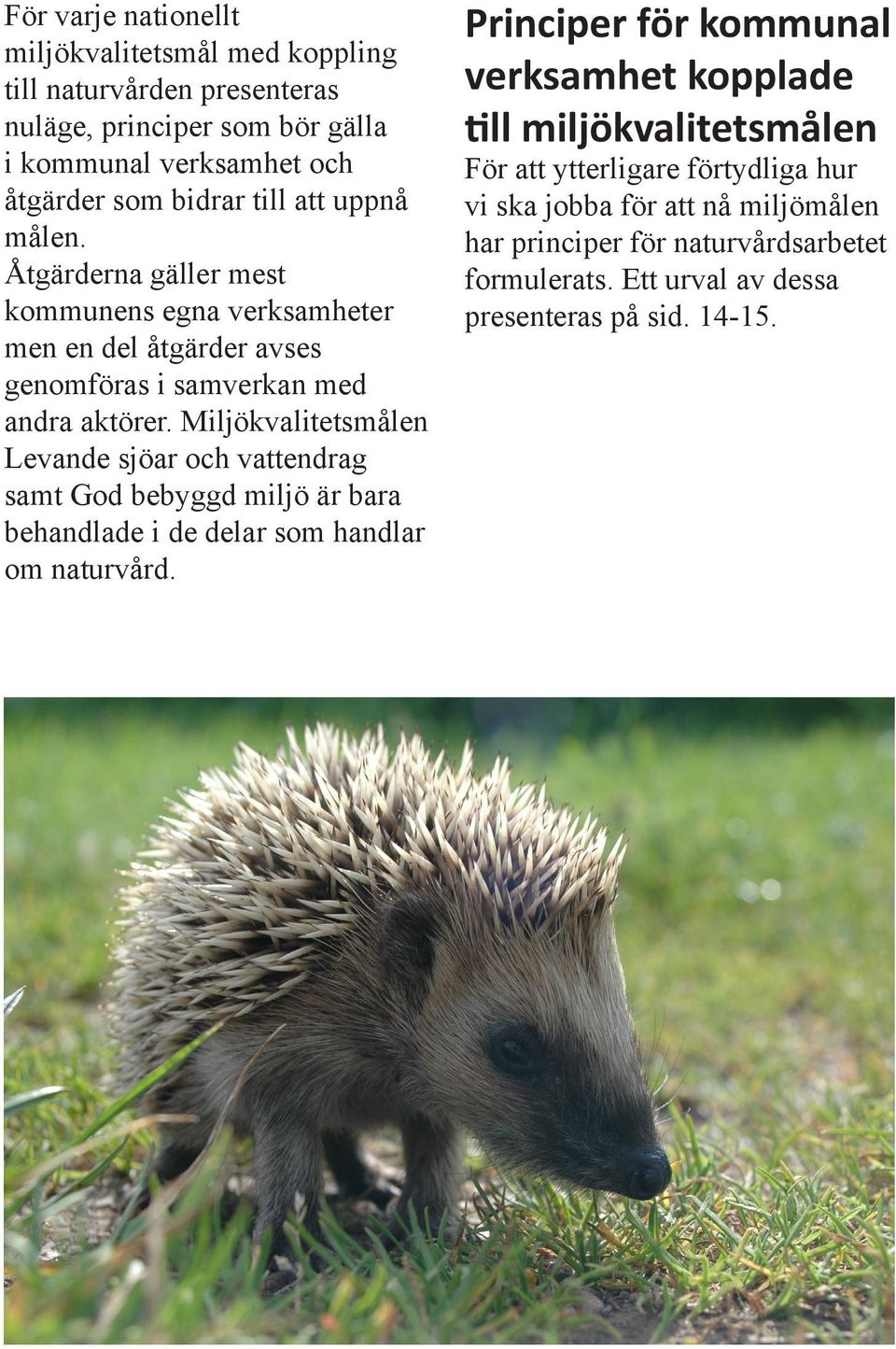 Miljökvalitetsmålen Levande sjöar och vattendrag samt God bebyggd miljö är bara behandlade i de delar som handlar om naturvård.