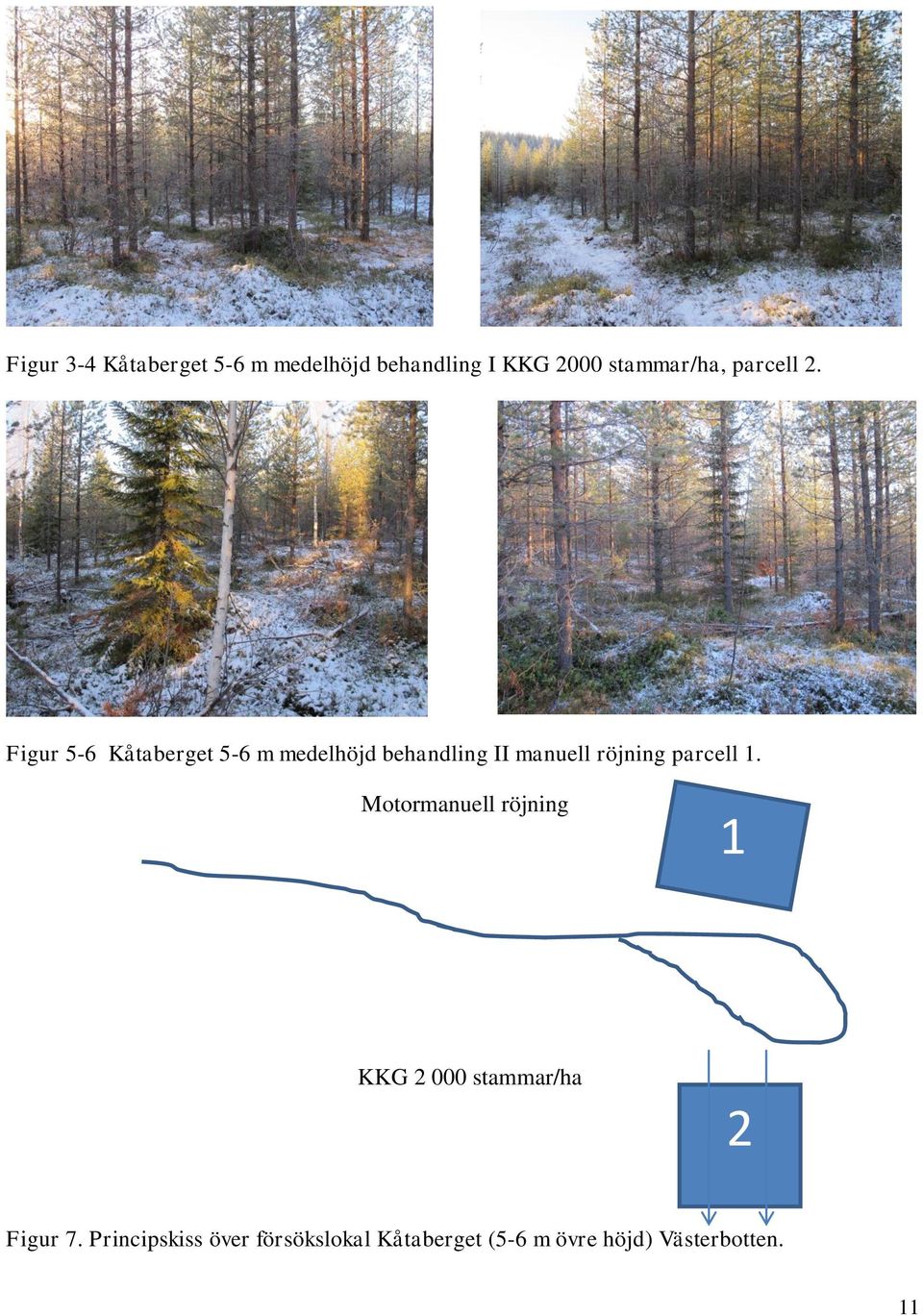 1. Motormanuell röjning 1 KKG 2 000 stammar/ha 2 Figur 7.