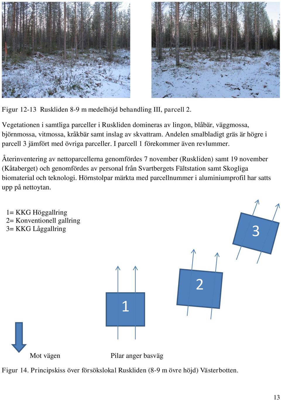Återinventering av nettoparcellerna genomfördes 7 november (Ruskliden) samt 19 november (Kåtaberget) och genomfördes av personal från Svartbergets Fältstation samt Skogliga biomaterial och