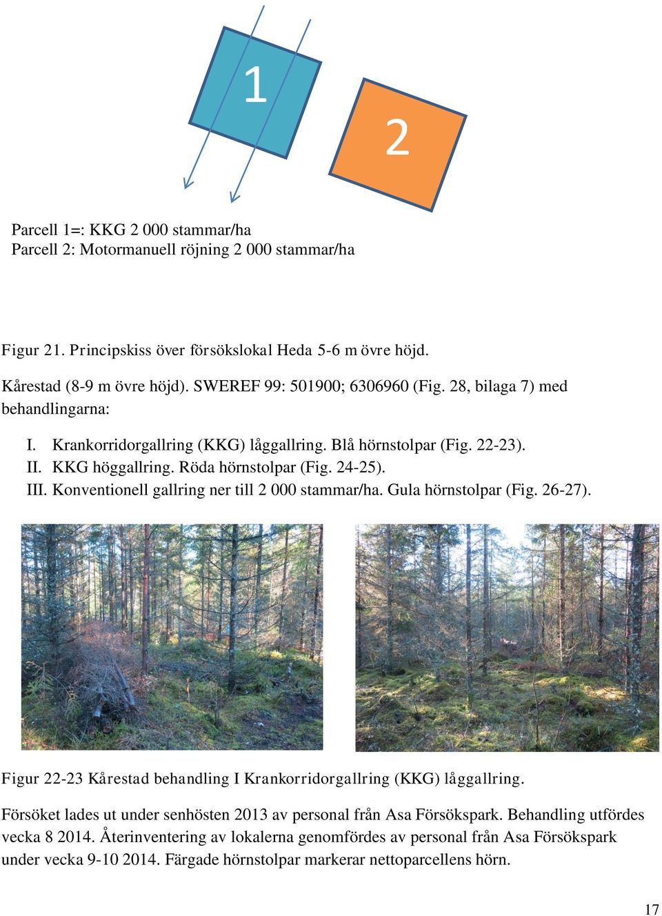 Konventionell gallring ner till 2 000 stammar/ha. Gula hörnstolpar (Fig. 26-27). Figur 22-23 Kårestad I Krankorridorgallring (KKG) låggallring.