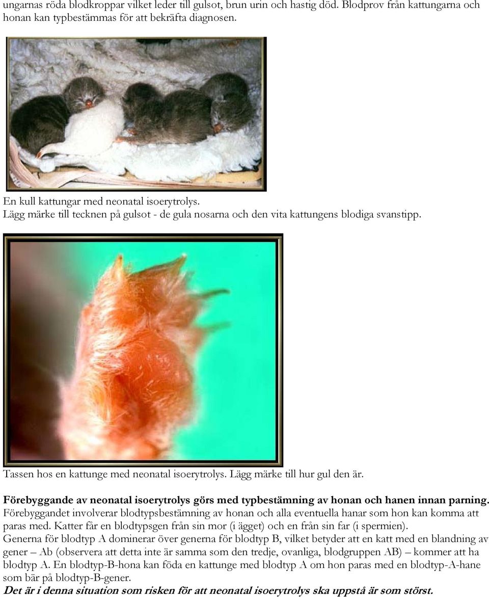 Föreyggande av neonatal isoerytrolys görs med typestämning av honan och hanen innan parning.