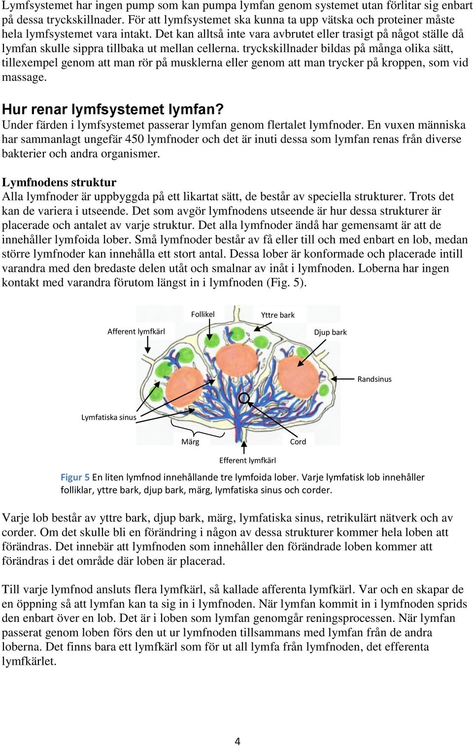 Det kan alltså inte vara avbrutet eller trasigt på något ställe då lymfan skulle sippra tillbaka ut mellan cellerna.