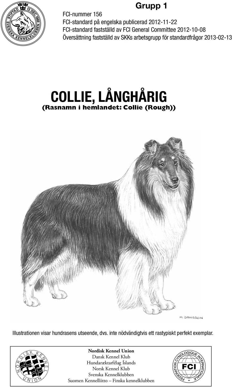 Collie (Rough)) Illustrationen visar hundrasens utseende, dvs. inte nödvändigtvis ett rastypiskt perfekt exemplar.