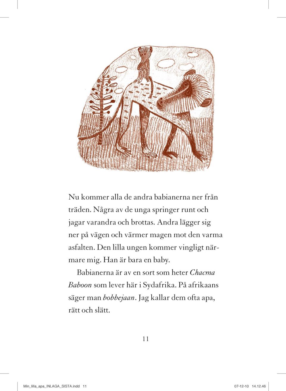 Han är bara en baby. Babianerna är av en sort som heter Chacma Baboon som lever här i Sydafrika.