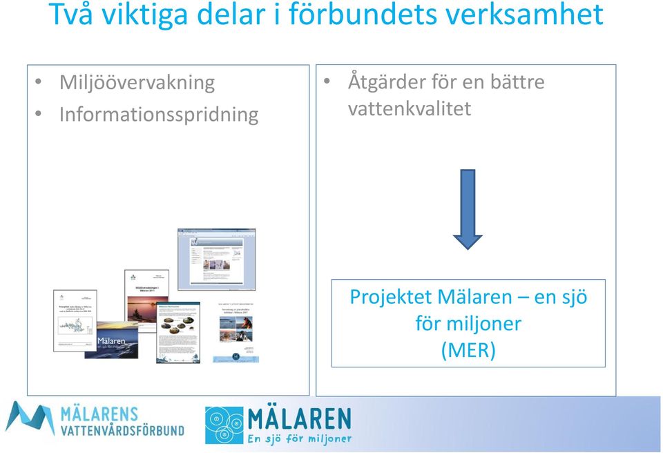 Informationsspridning Åtgärder för en