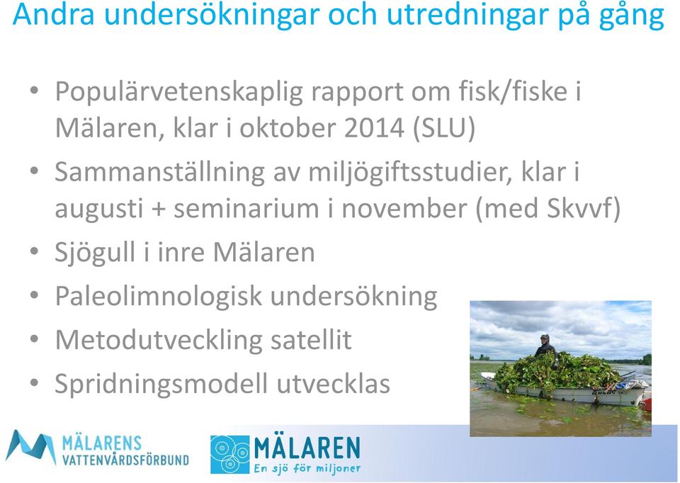 miljögiftsstudier, klar i augusti + seminarium i november (med Skvvf) Sjögull i