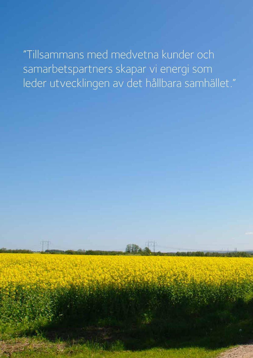 leder utvecklingen av det hållbara