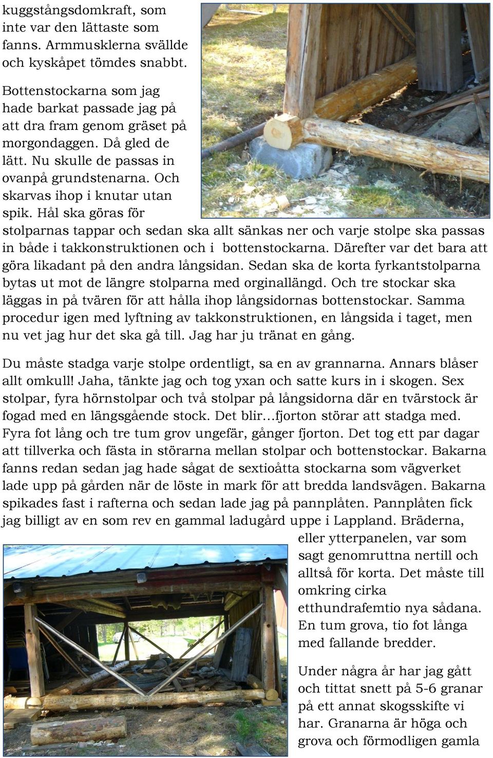 Hål ska göras för stolparnas tappar och sedan ska allt sänkas ner och varje stolpe ska passas in både i takkonstruktionen och i bottenstockarna.