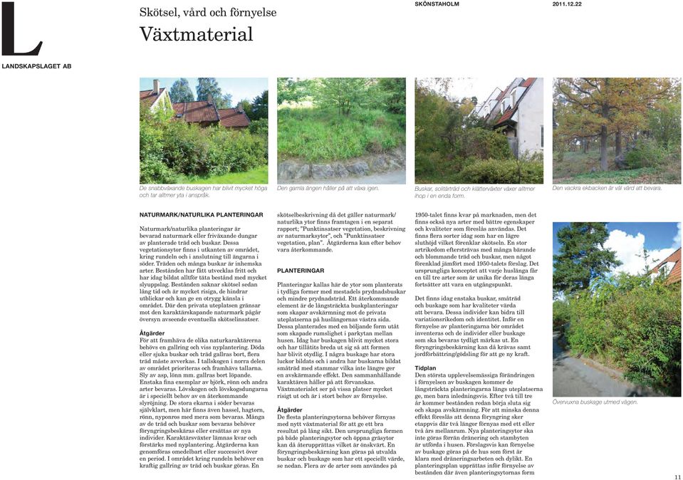 NATURMARK/NATURLIKA PLANTERINGAR Naturmark/naturlika planteringar är bevarad naturmark eller friväxande dungar av planterade träd och buskar.