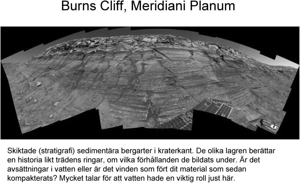 De olika lagren berättar en historia likt trädens ringar, om vilka förhållanden de