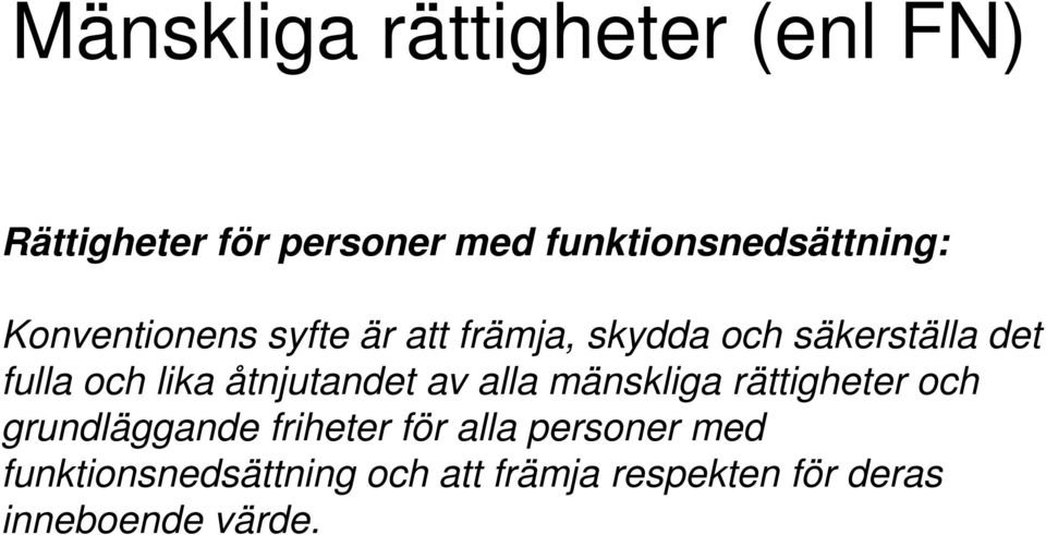 det fulla och lika åtnjutandet av alla mänskliga rättigheter och grundläggande