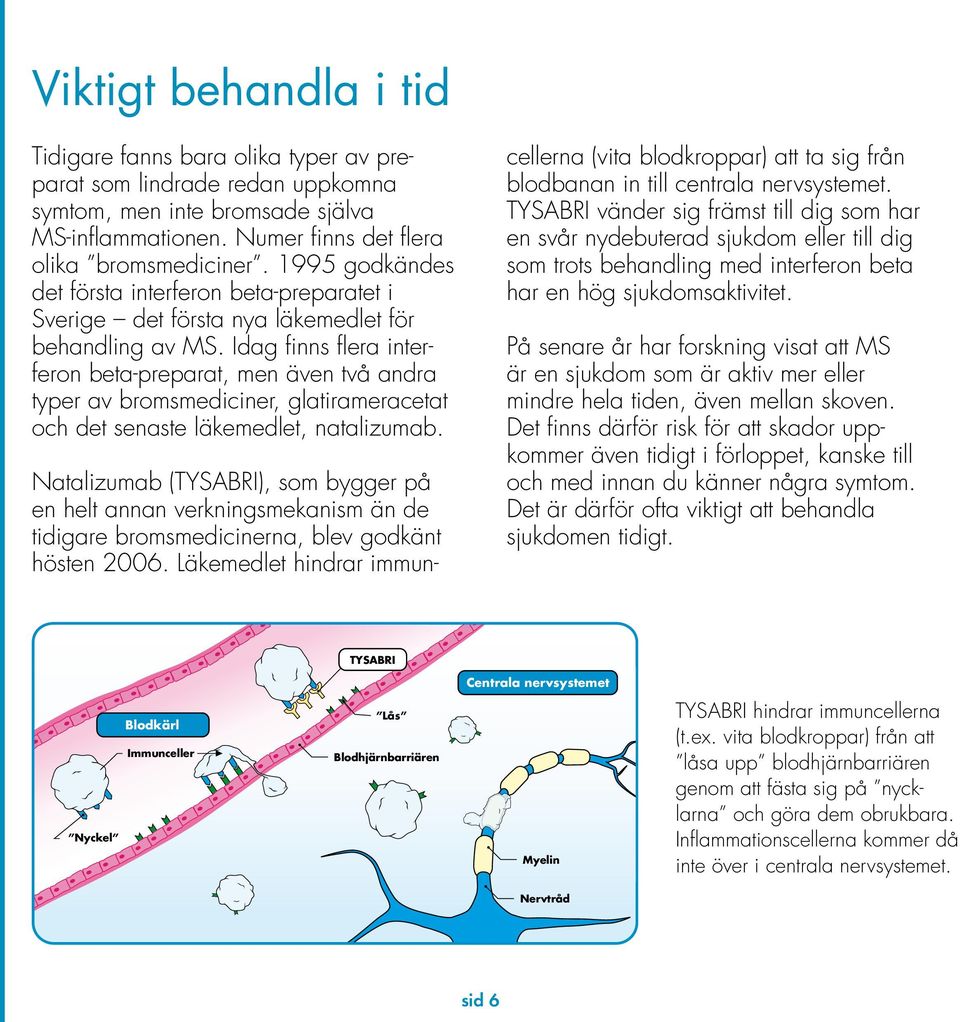 Idag finns flera interferon beta-preparat, men även två andra typer av bromsmediciner, glatirameracetat och det senaste läkemedlet, natalizumab.