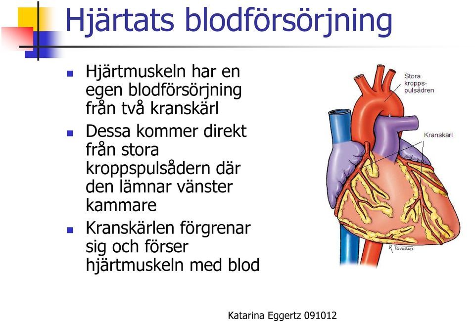 från stora kroppspulsådern där den lämnar vänster