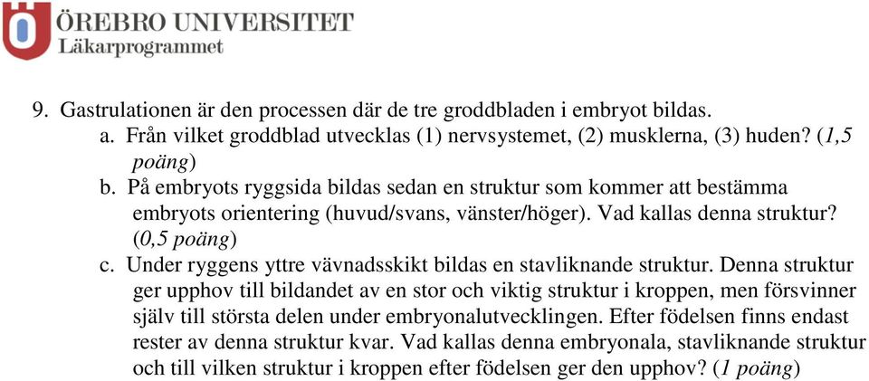 Under ryggens yttre vävnadsskikt bildas en stavliknande struktur.